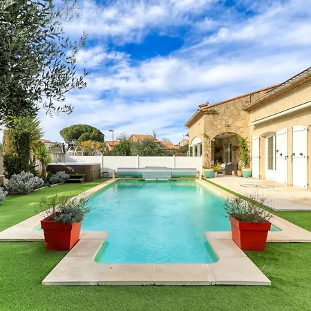 Angelo - Olive Verte 3*